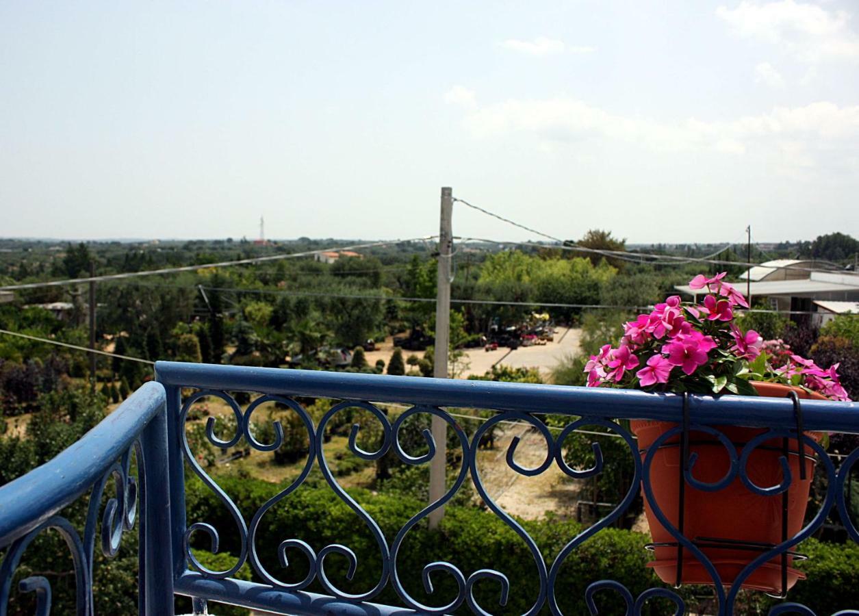 Patty Green House Castellana Grotte Exterior foto